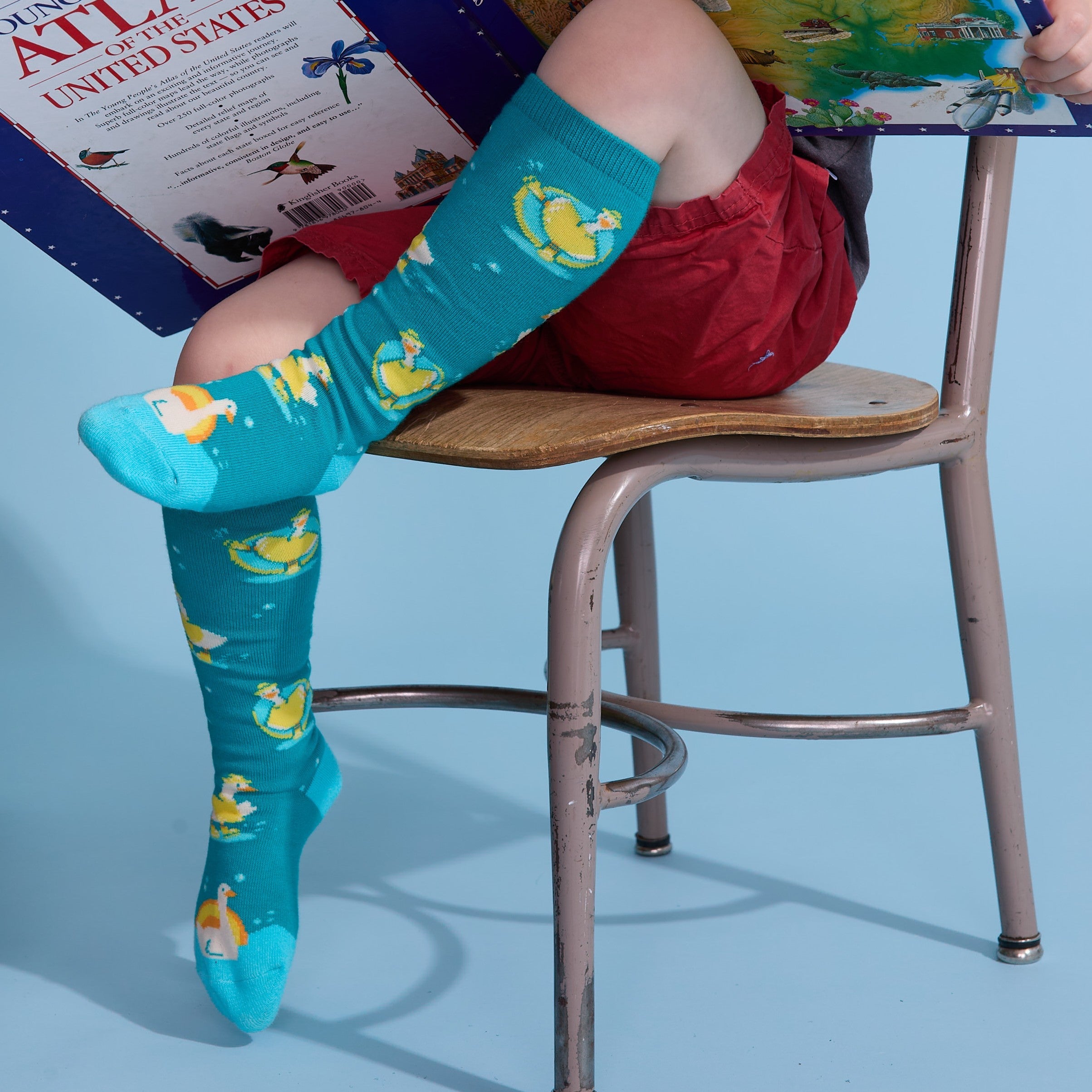 Silly Goose Youth Knee Socks