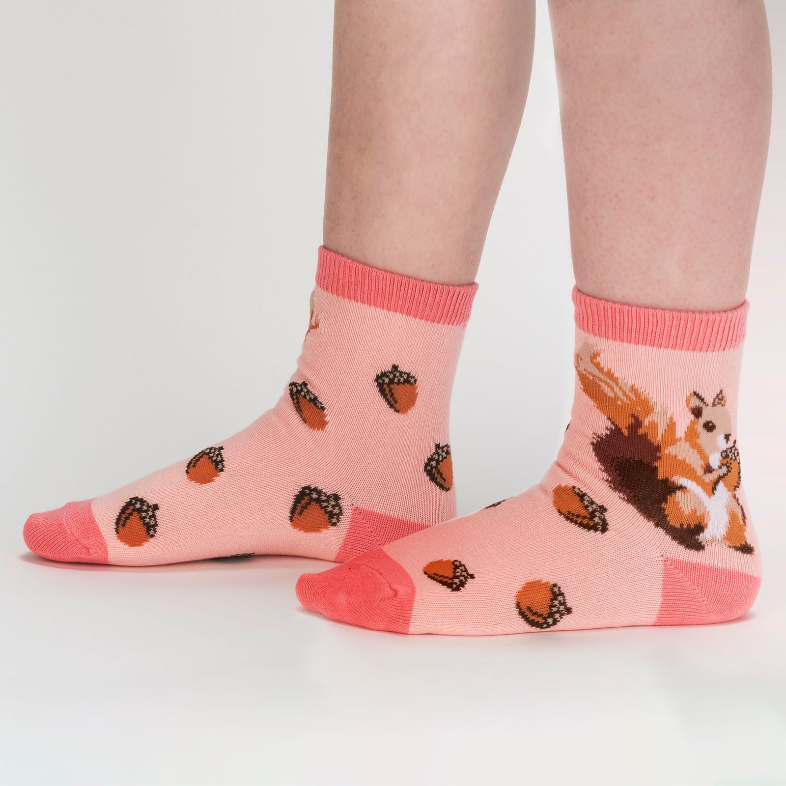 My Dear Hedgehog Youth Crew Socks 3-Pack